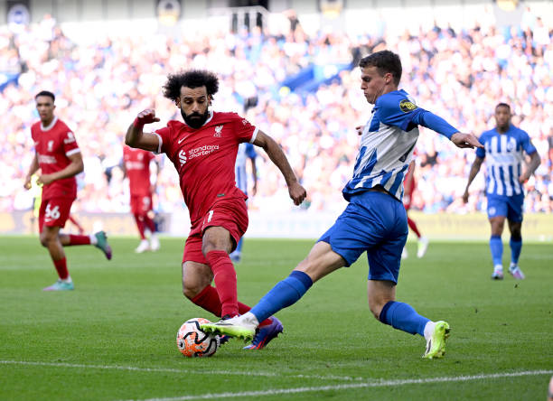 其高互动性 其高互动性