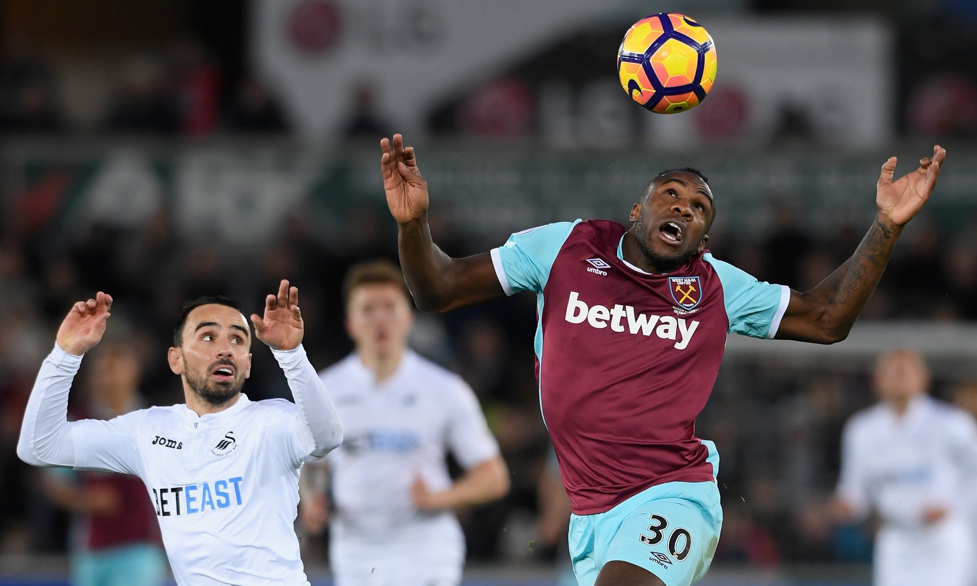 导便是另一 导便是另一