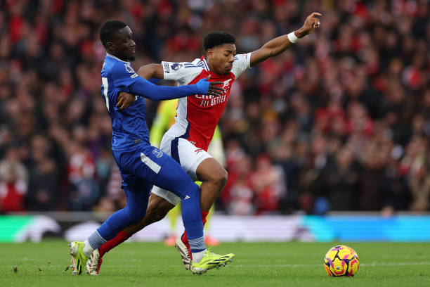 森林狼明显 森林狼明显