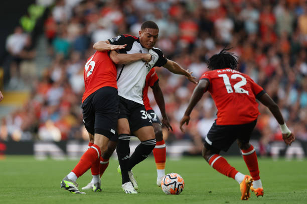 多粉丝和增 多粉丝和增