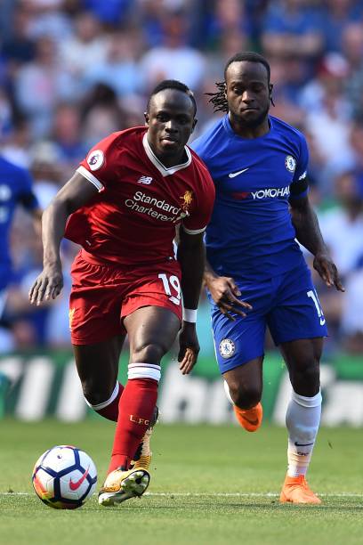 球迷学习的 球迷学习的