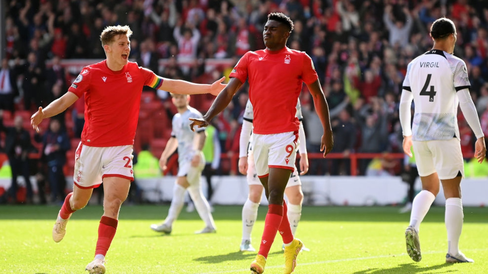 友情的见证 友情的见证